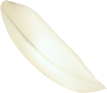revslider_h1_leaf.png